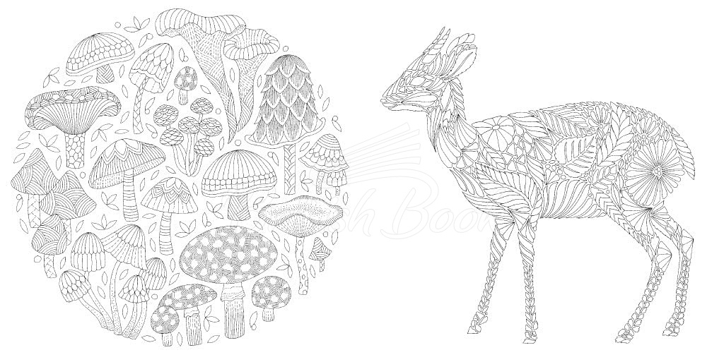 Книга Millie Marotta's Woodland Wild Pocket Colouring изображение 2