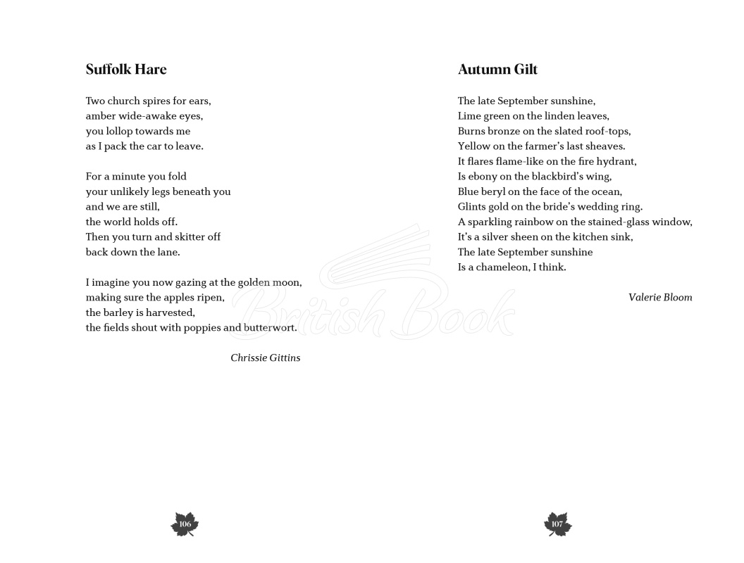 Книга Cosy Poems зображення 5
