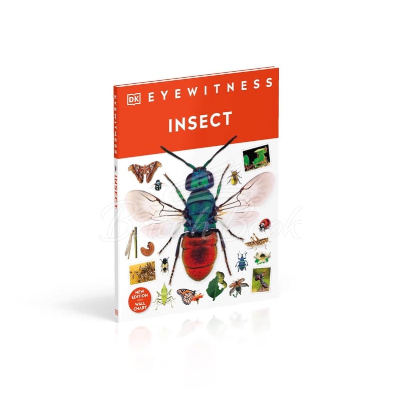 Книга Insect изображение 1