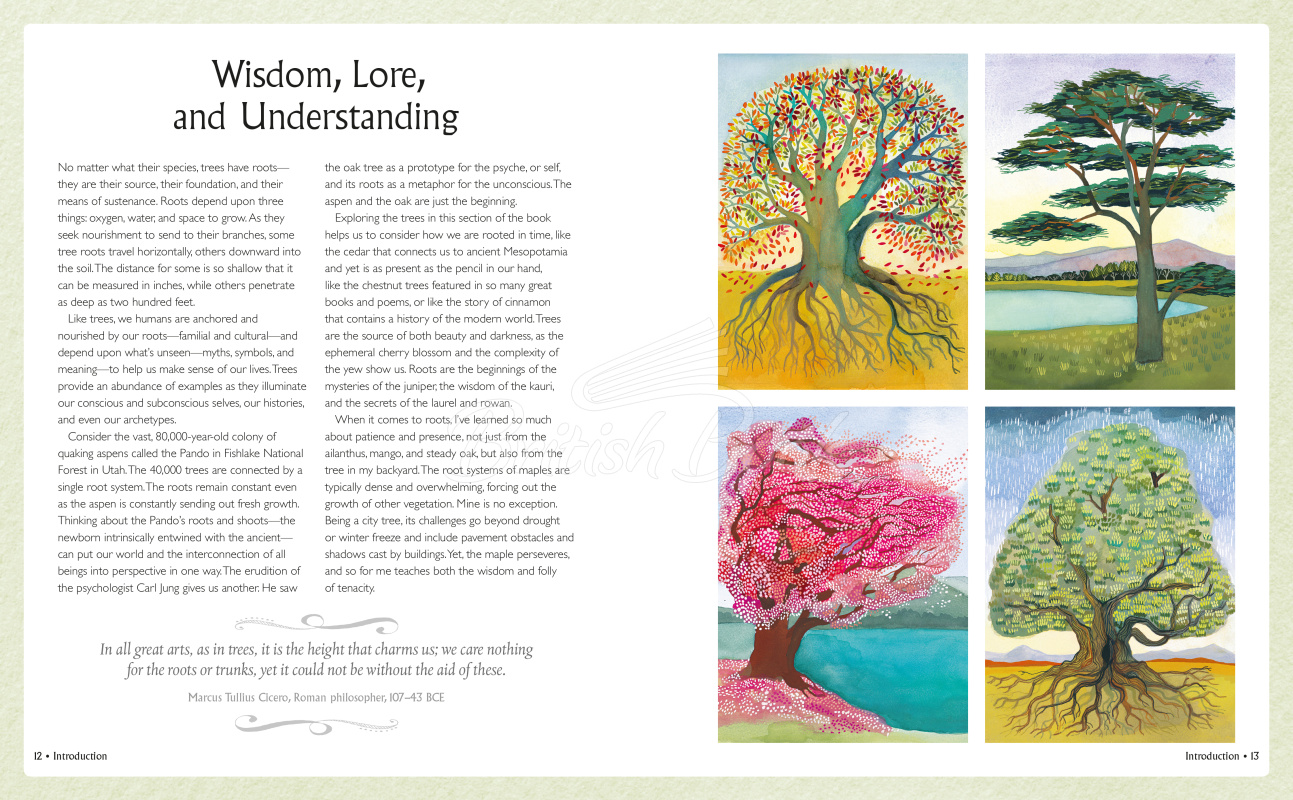 Книга Tree Wisdom изображение 4