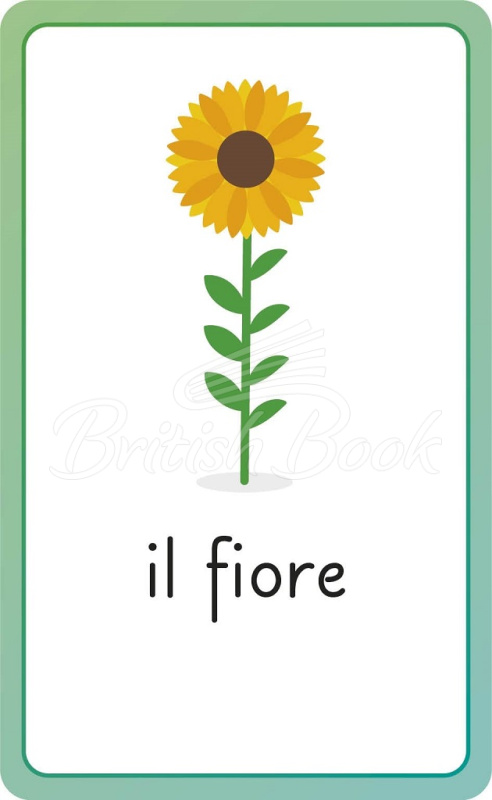 Карточки Italian for Everyone Junior: First Words Flash Cards изображение 5