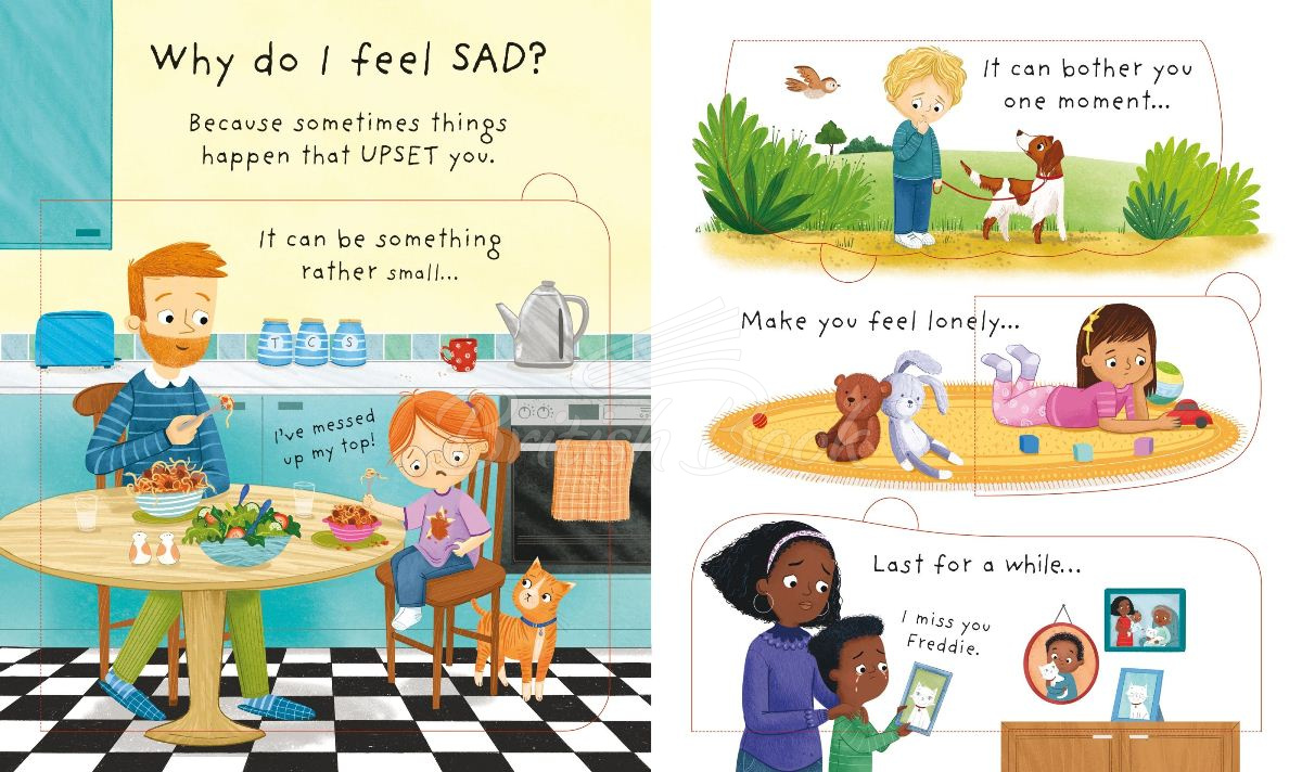 Книга Lift-the-Flap First Questions and Answers: Why Do I (Sometimes) Feel Sad? зображення 1