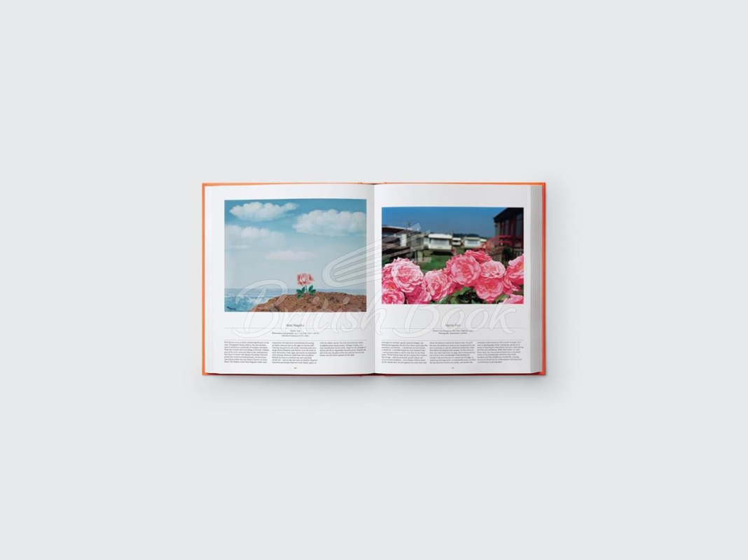 Книга Flower: Exploring the World in Bloom зображення 2