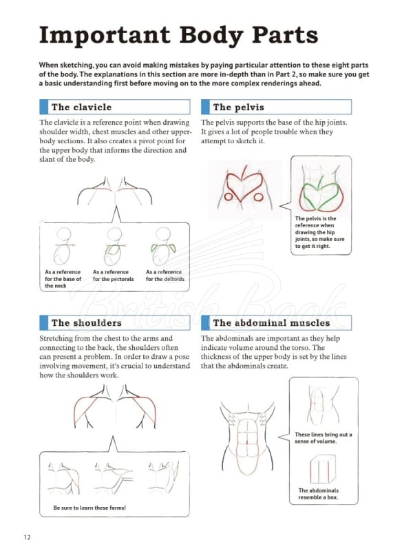 Книга How to Create Manga: Drawing the Human Body зображення 6
