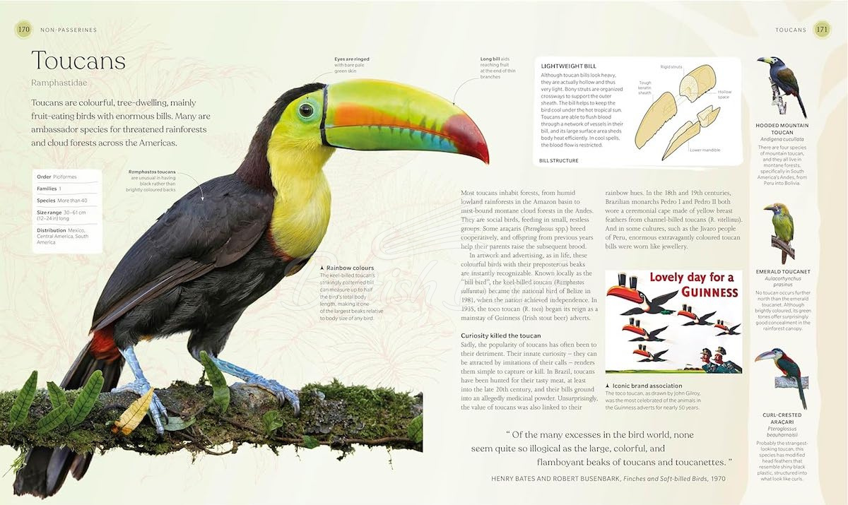 Книга The Bird Book зображення 3