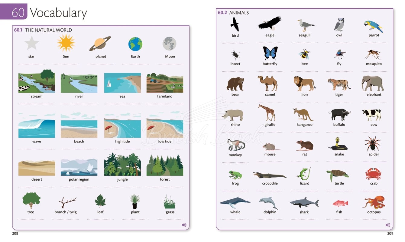 Книга English for Everyone 3 Course Book зображення 3