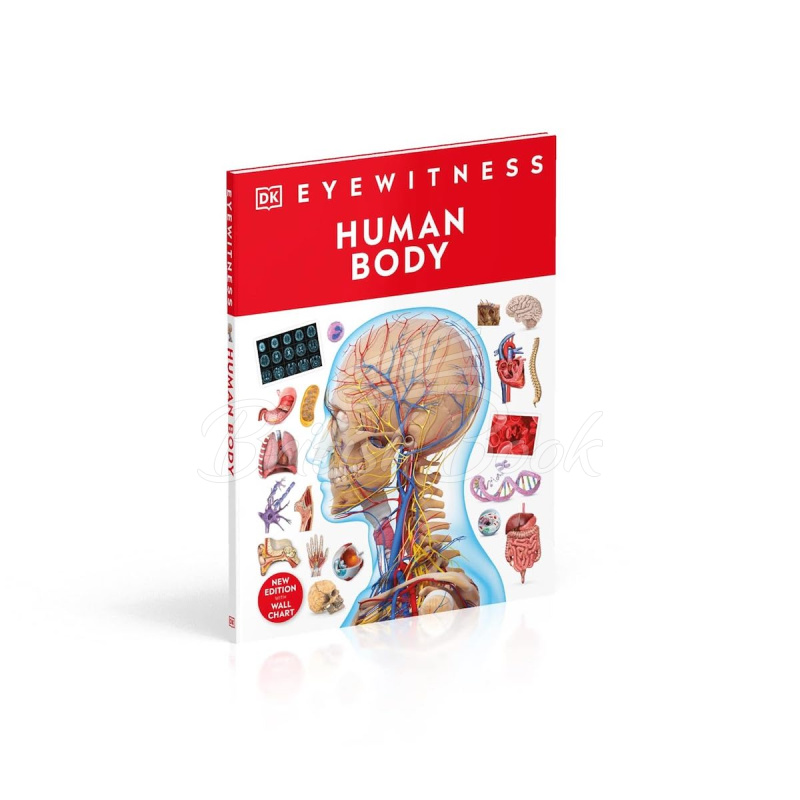 Книга Human Body зображення 1
