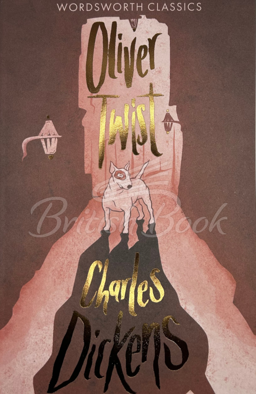 Книга Oliver Twist зображення