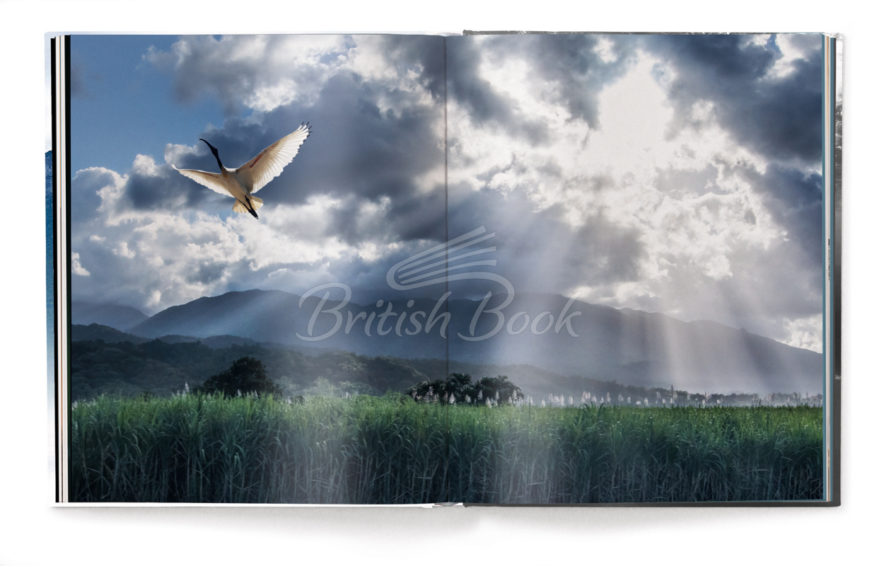 Книга Creation: Masterpieces from the Natural World зображення 3
