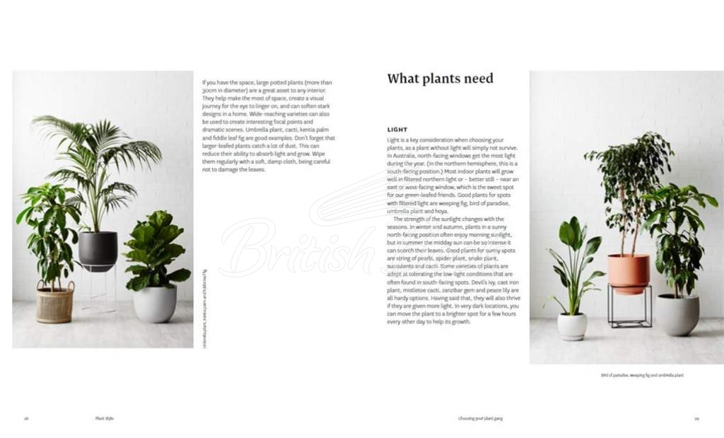 Книга Plant Style изображение 4