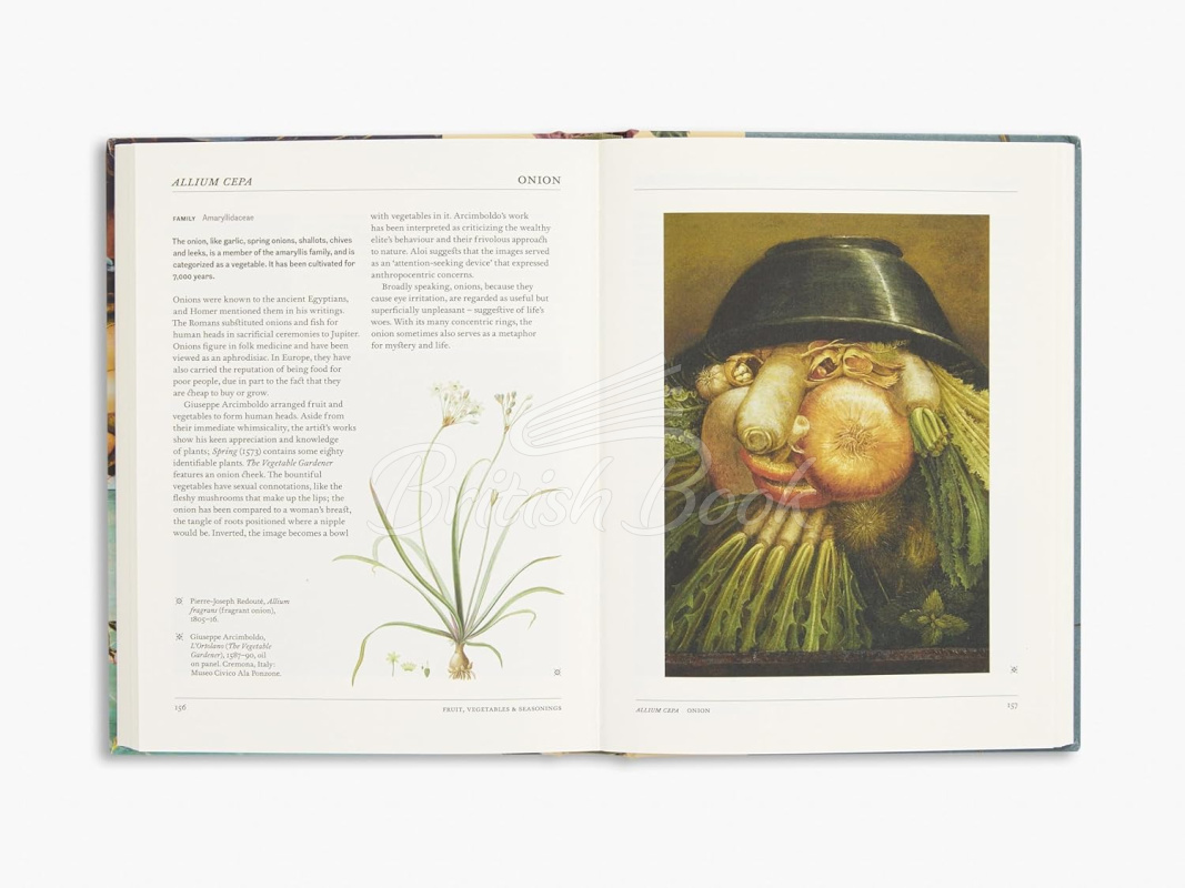 Книга The Secret Language of Plants: Art, Nature & Symbolism зображення 5