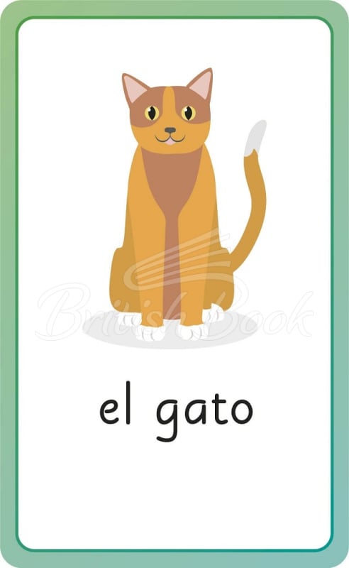 Картки Spanish for Everyone Junior: First Words Flash Cards зображення 3