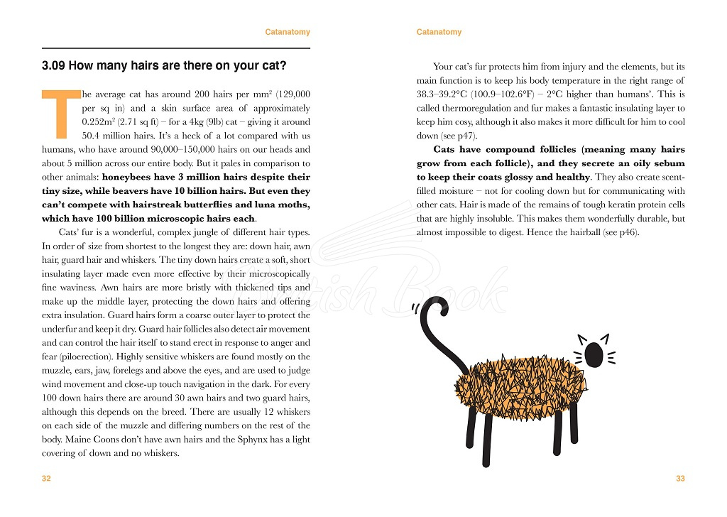 Книга Catology: The Weird and Wonderful Science of Cats изображение 7