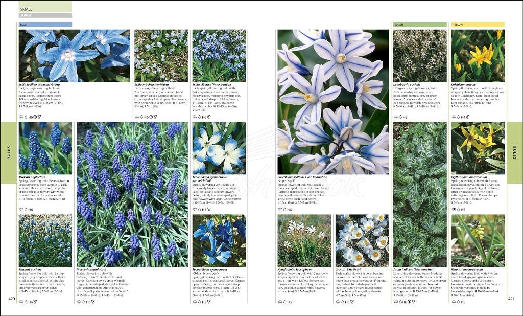 Книга RHS Encyclopedia of Plants & Flowers зображення 5