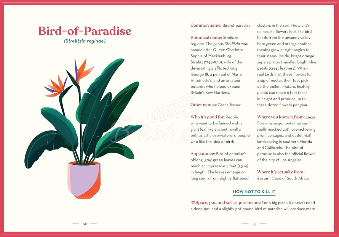 Книга Green Dumb Guide to Houseplants: 45 Unfussy Plants That are Easy to Grow and Hard to Kill зображення 3
