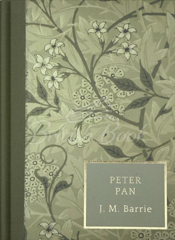 Книга Peter Pan изображение
