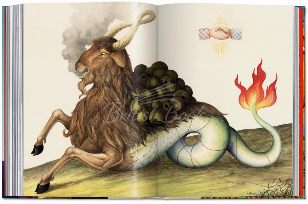 Книга Astrology. The Library of Esoterica зображення 10