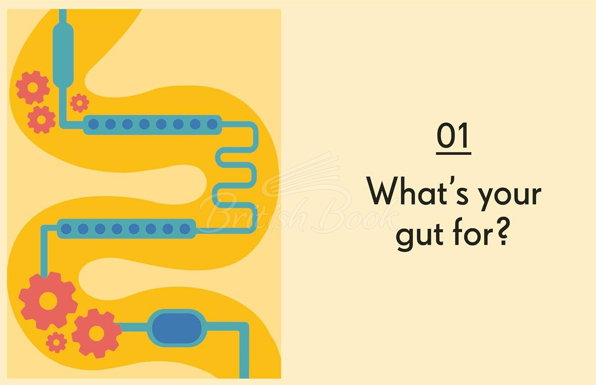 Книга Gut: An Owner's Guide изображение 3