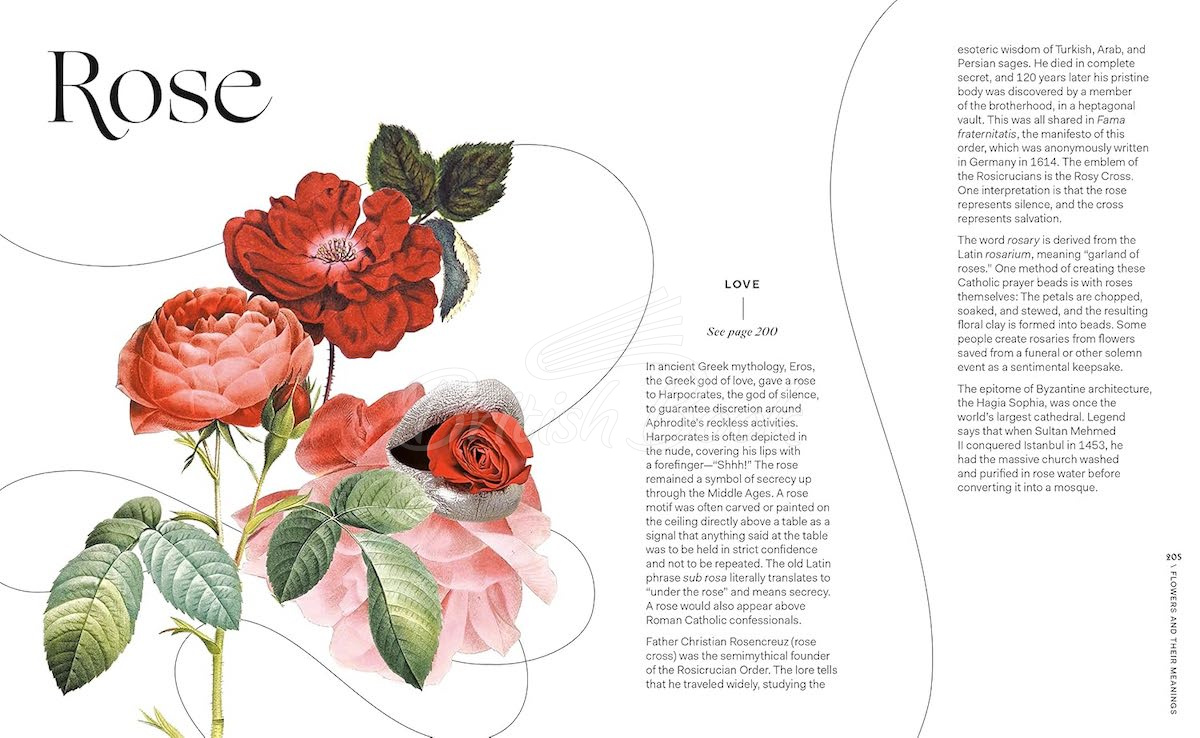 Книга Flowers and Their Meanings изображение 2