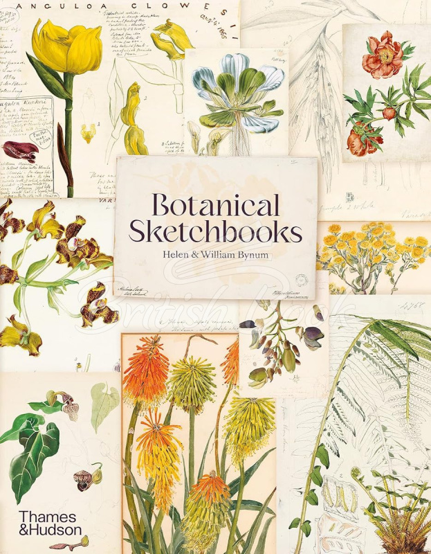 Книга Botanical Sketchbooks изображение
