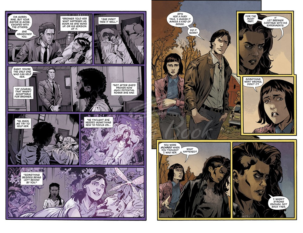Книга Stranger Things: Graphic Novels: Into the Fire (Book 3) зображення 3