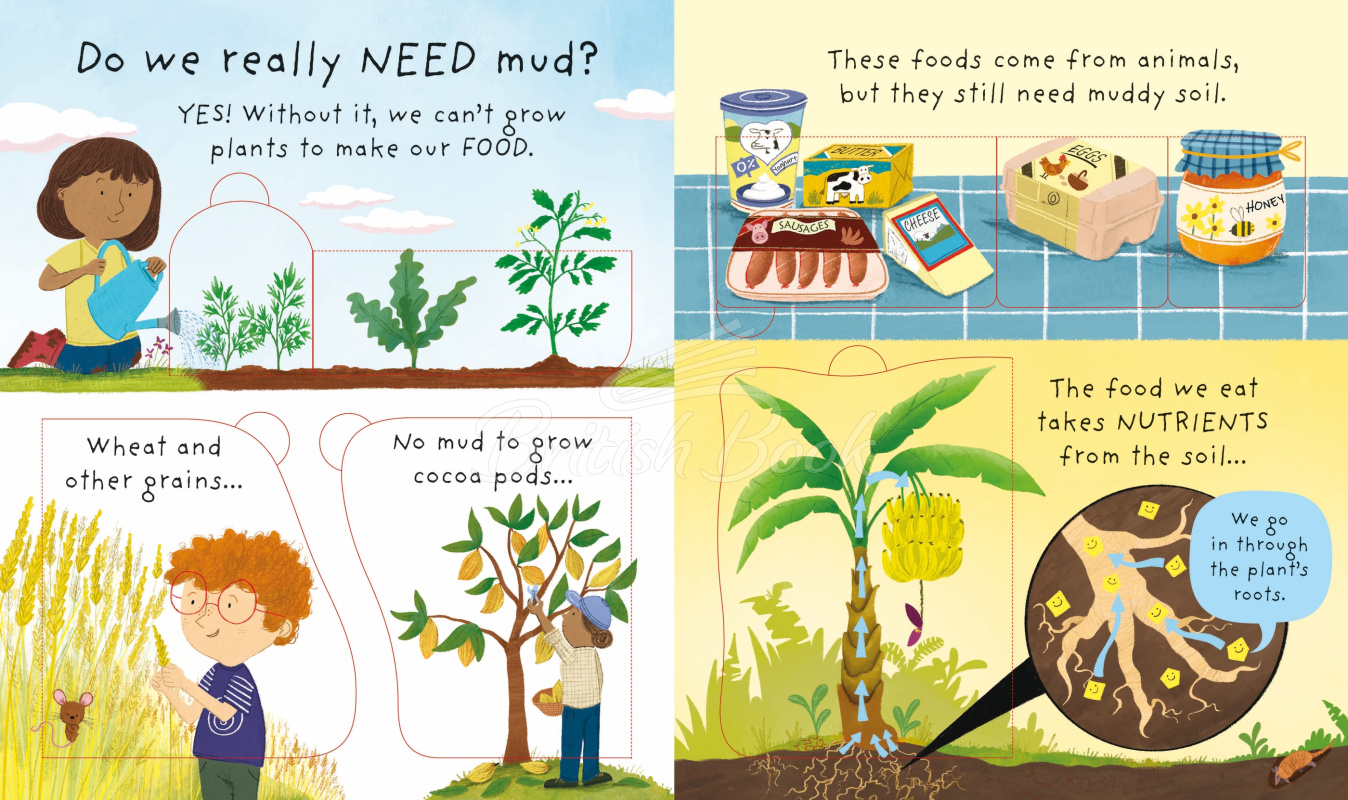Книга Lift-the-Flap Very First Questions and Answers: What is Mud? зображення 4