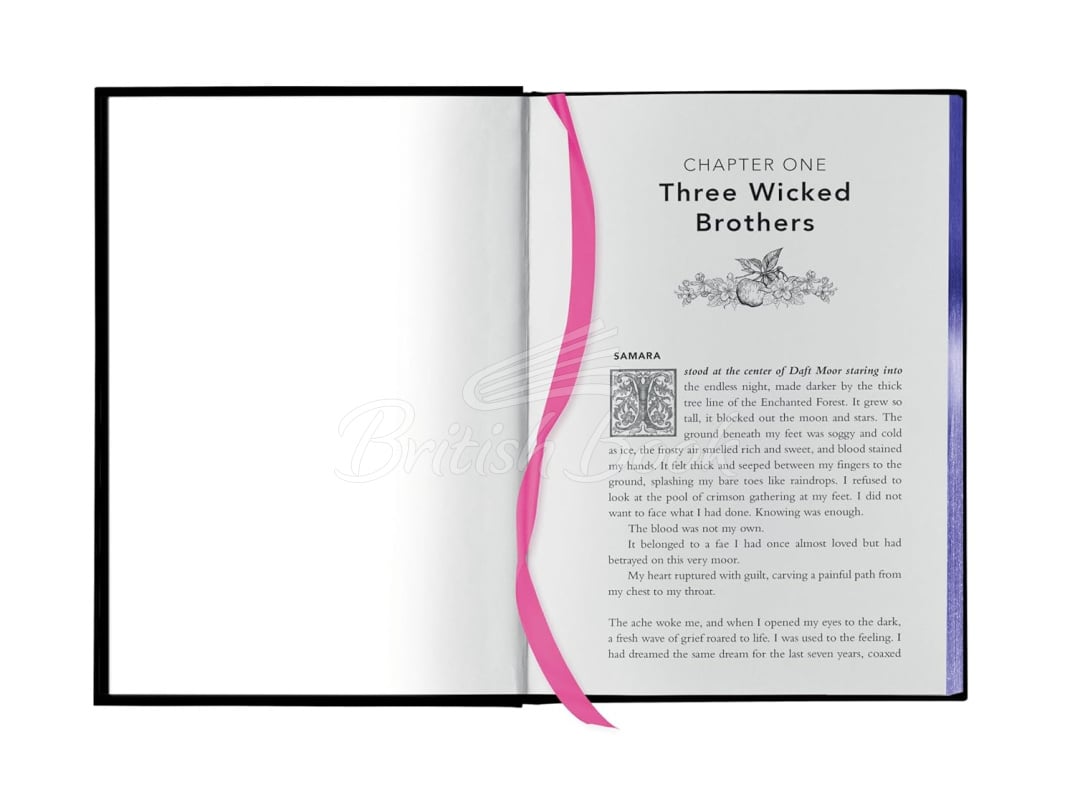 Книга Fairy Tale Retellings Volume I (Books 1-2) изображение 3