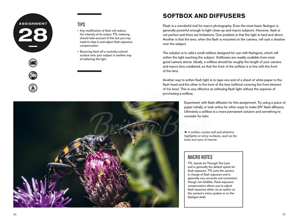 Книга 52 Assignments: Macro Photography зображення 6