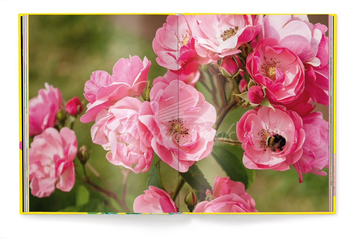 Книга Floramour: Roses зображення 3