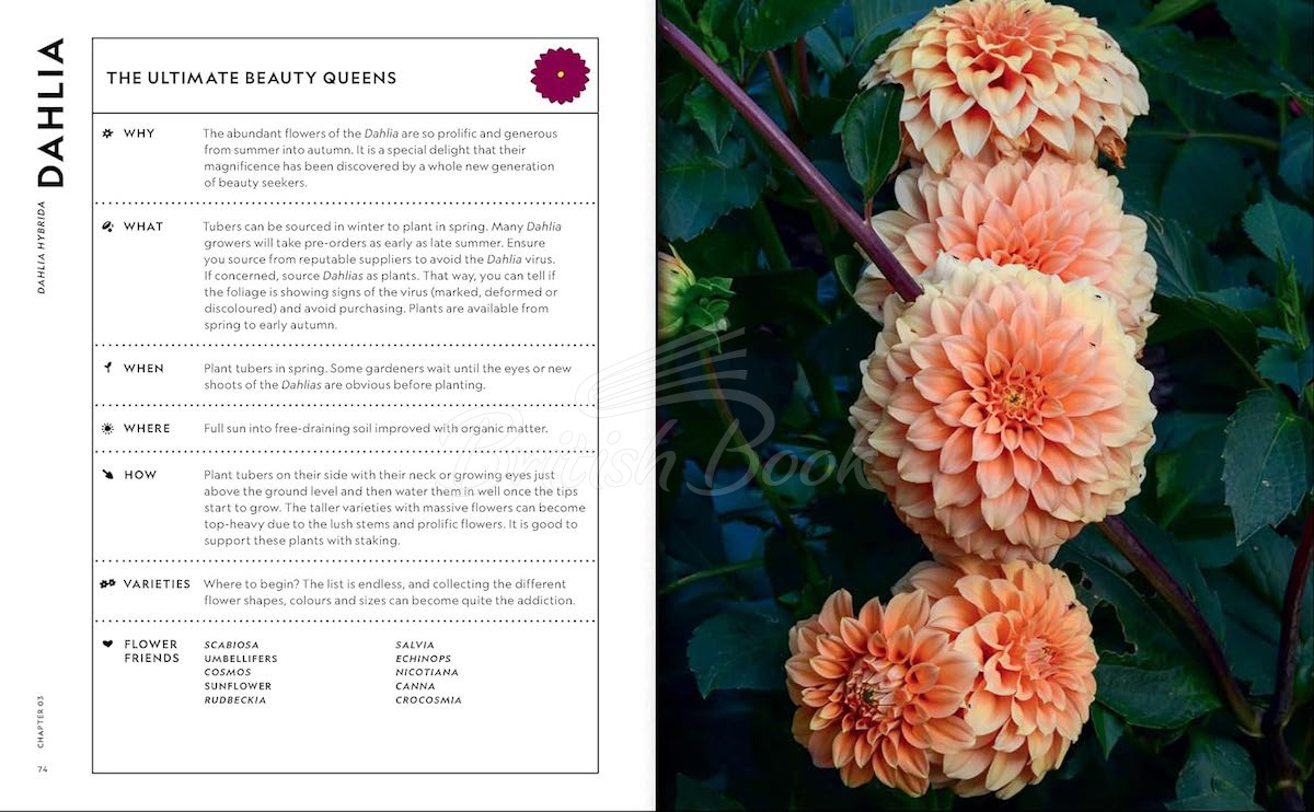 Книга The Super Bloom Handbook зображення 5