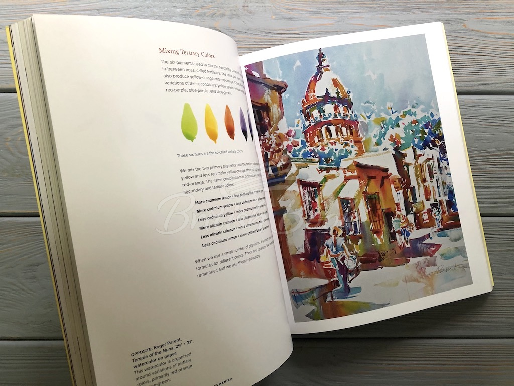 Книга The Watercolor Course изображение 6