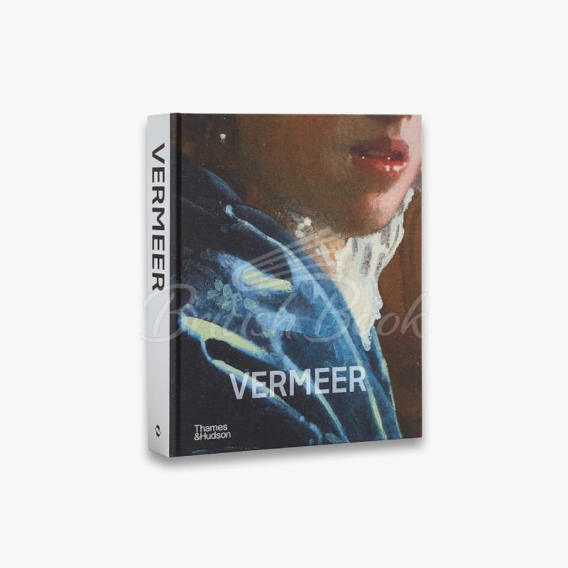 Книга Vermeer изображение 14