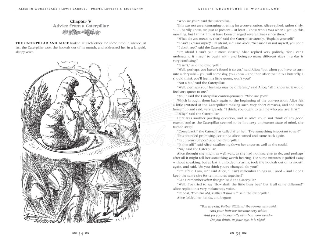 Книга Alice's Adventures in Wonderland зображення 4