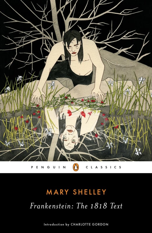 Книга Frankenstein изображение