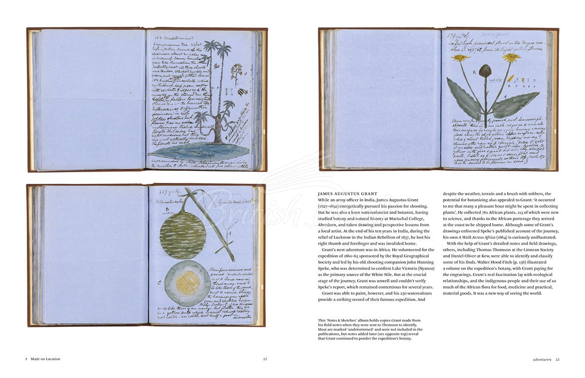 Книга Botanical Sketchbooks изображение 2