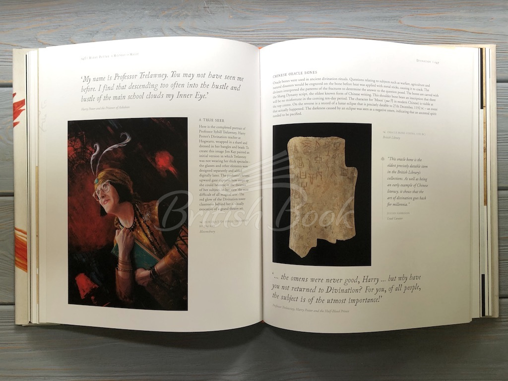 Книга Harry Potter: A History of Magic – The Book of the Exhibition изображение 6