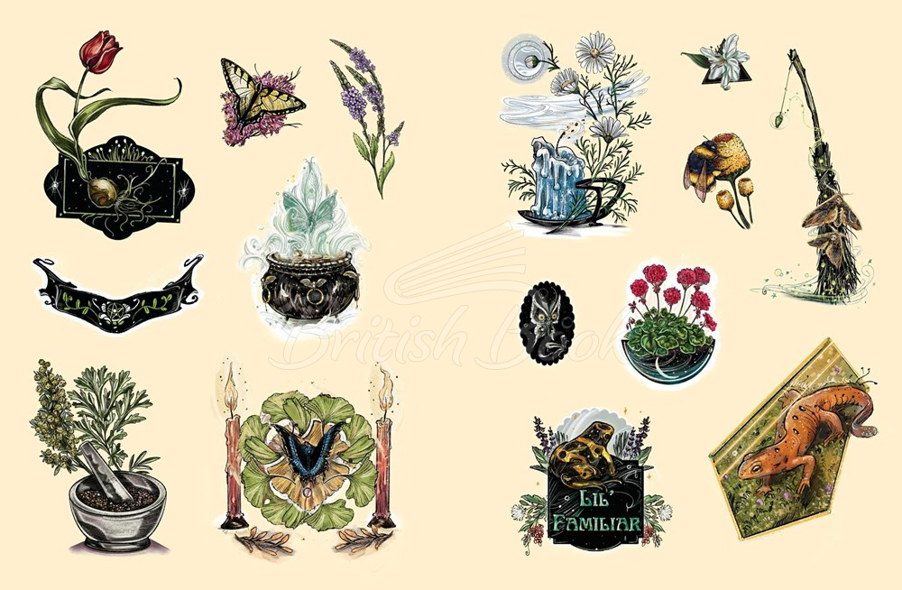 Стікербук The Green Witch's Sticker Book зображення 1