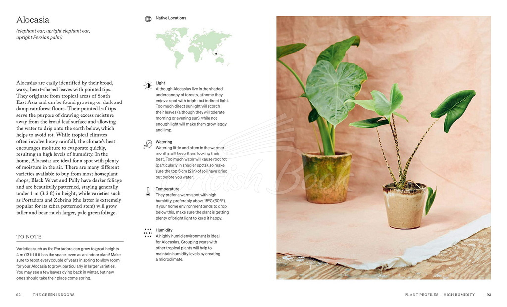 Книга The Green Indoors: Finding the Right Plants for Your Home Environment изображение 11
