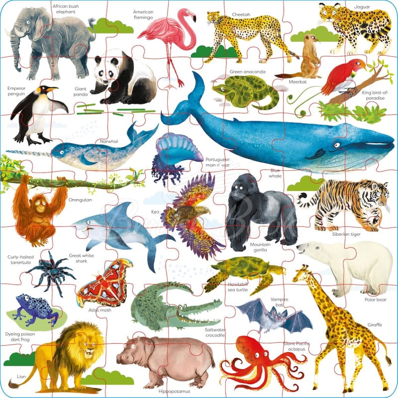 Пазл Usborne Book and Jigsaw: Wild Animals изображение 1