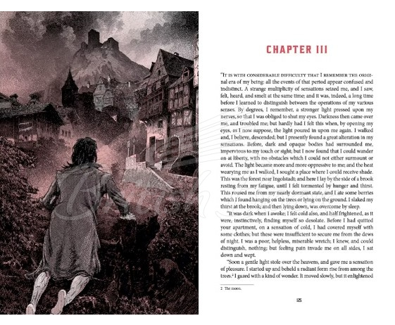 Книга Frankenstein зображення 9