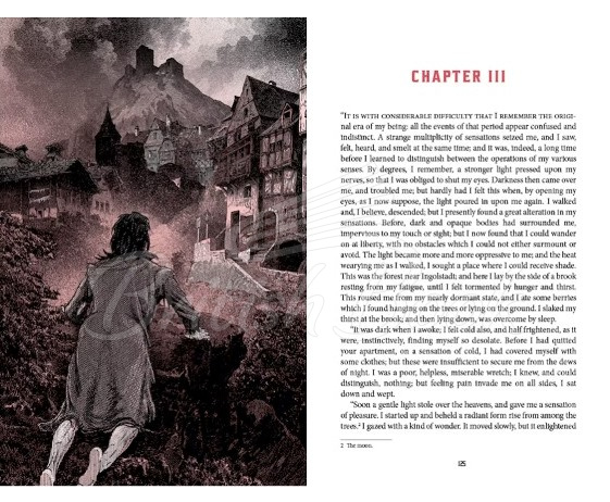 Книга Frankenstein (Deluxe Edition) зображення 9