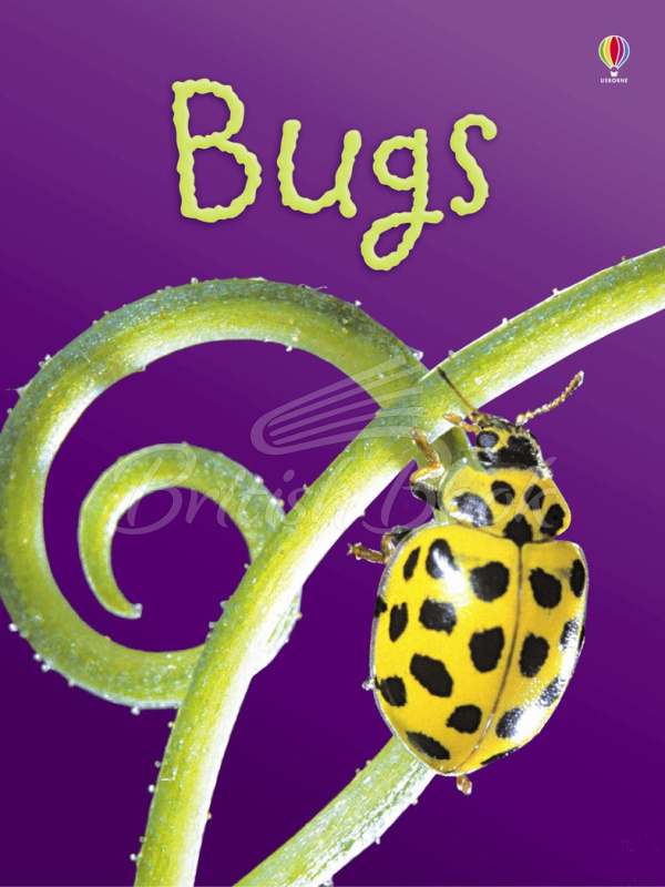 Книга Usborne Beginners Bugs зображення