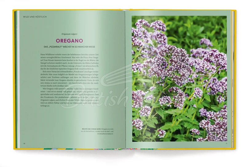 Книга Floramour: Wild Flowers изображение 8