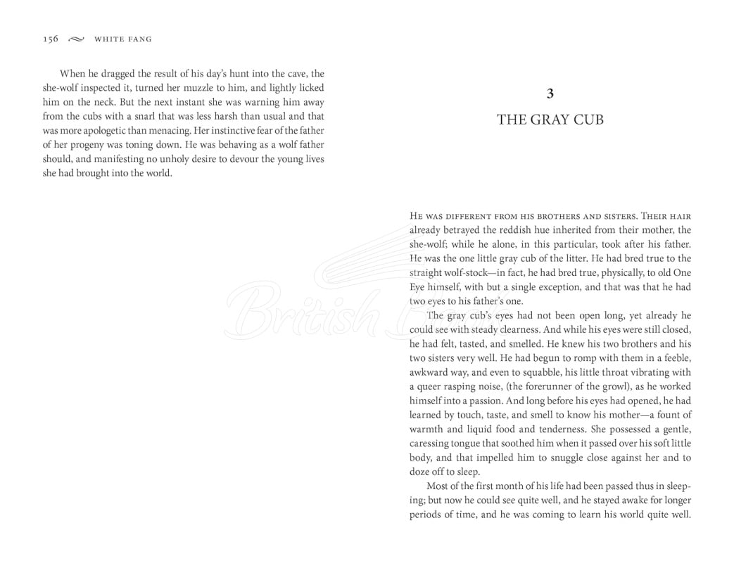 Книга The Call of the Wild and White Fang зображення 5