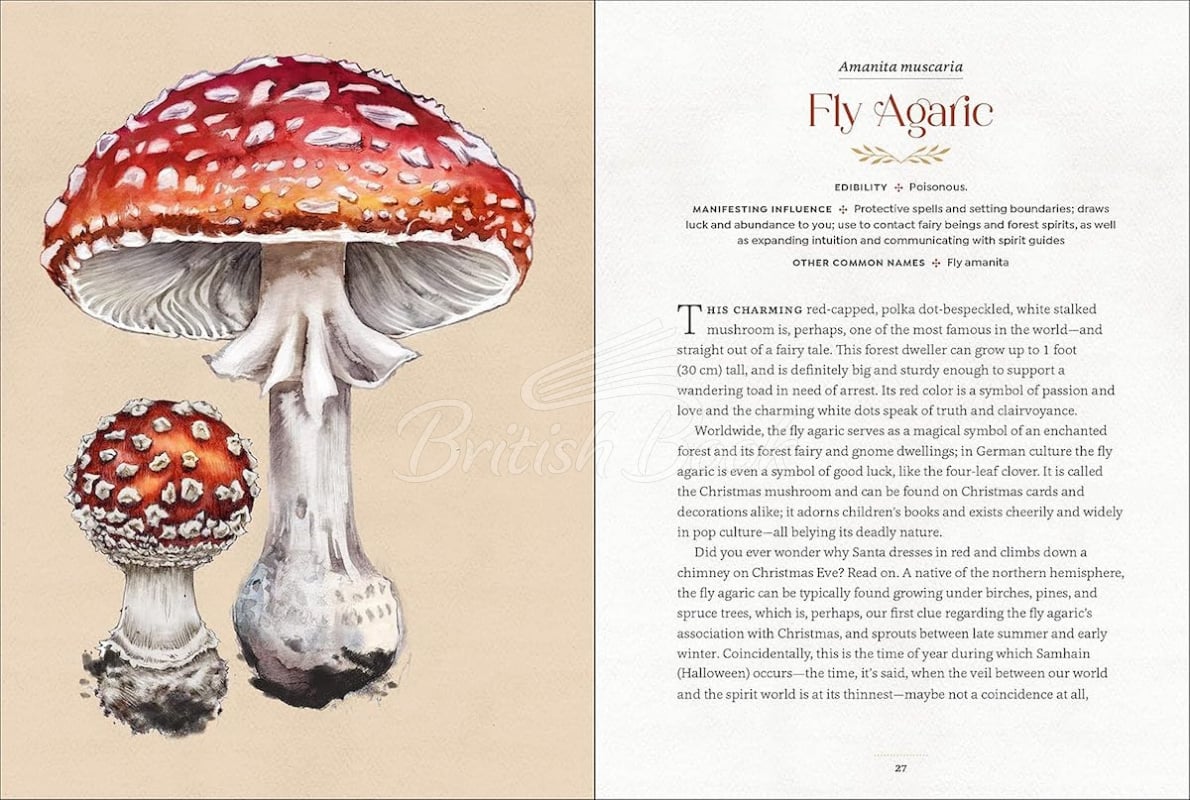 Книга Mystical Mushrooms изображение 4