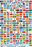 Flags of the World Poster