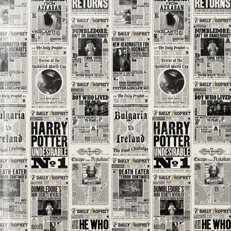 Пакувальний папір Harry Potter Gift Wrap: The Daily Prophet зображення 1