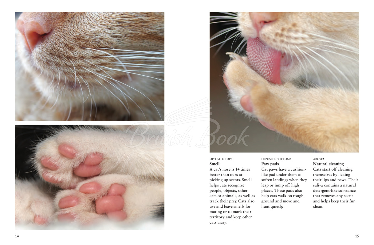 Книга Cats: A Celebration of Our Feline Friends изображение 3