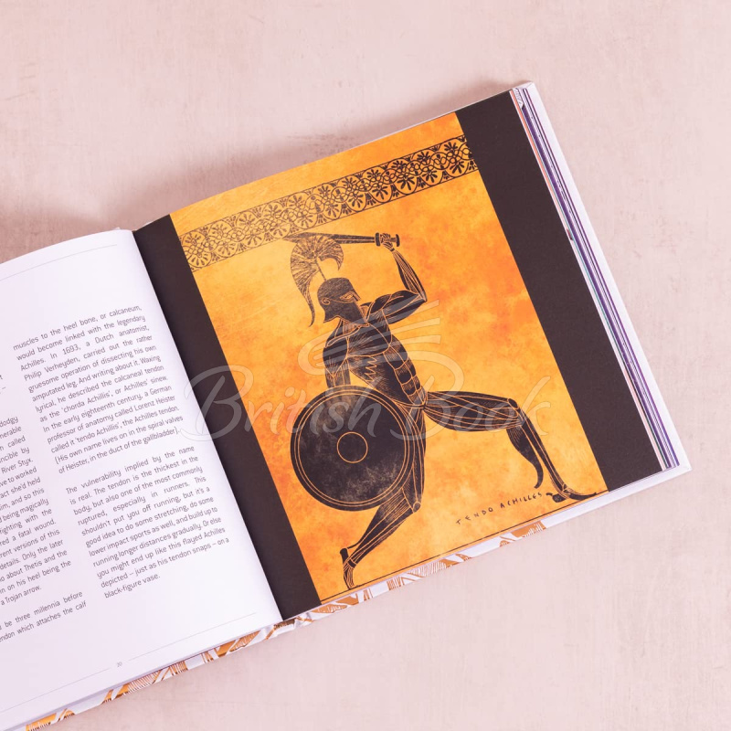 Книга Anatomical Oddities зображення 4