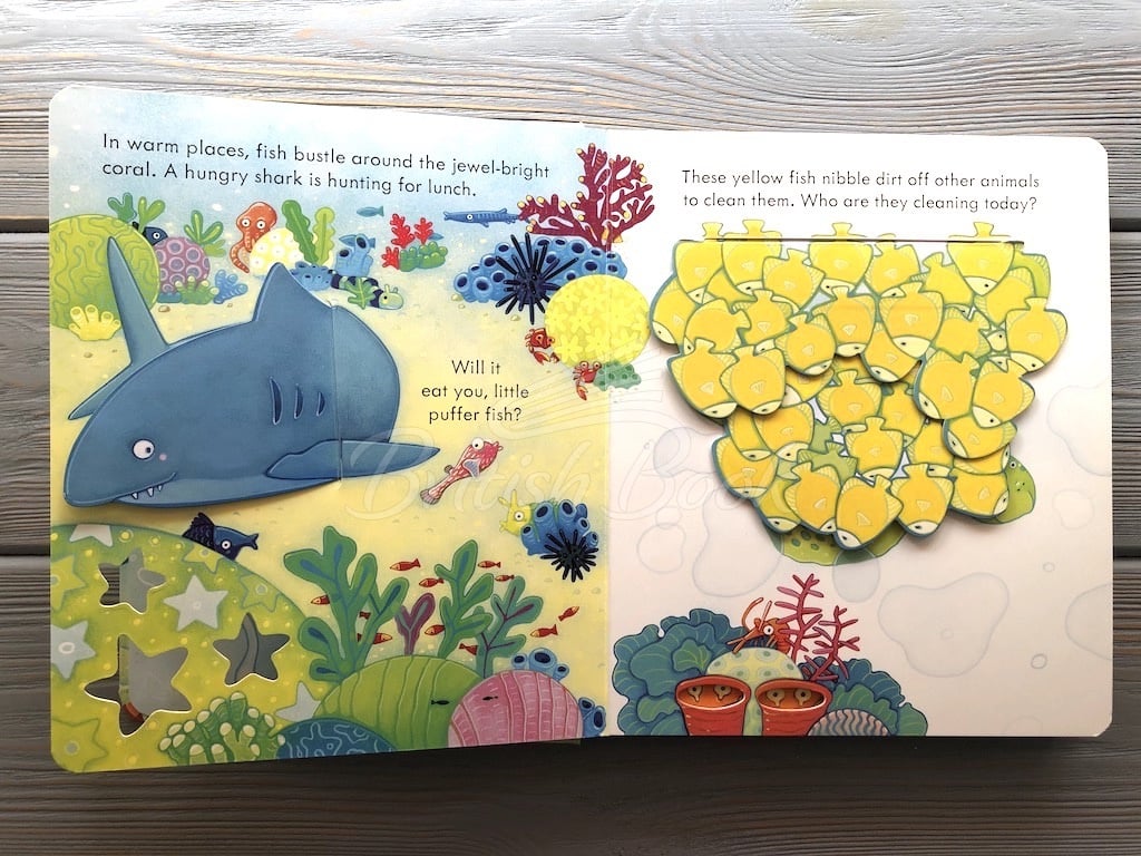 Книга Peep inside the Sea зображення 4